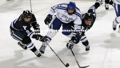 b体育官网-阿贾克斯青春风暴席卷伯纳乌 欧冠传奇再添逆转新章