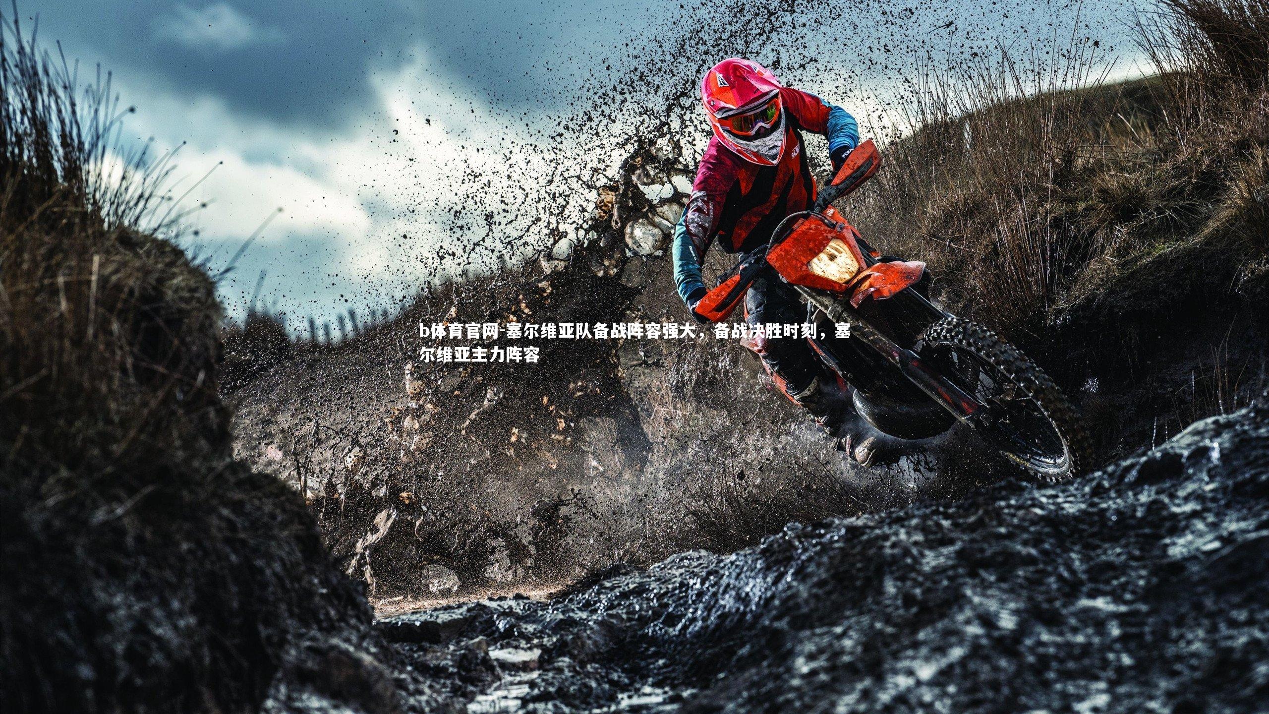 塞尔维亚队备战阵容强大，备战决胜时刻，塞尔维亚主力阵容