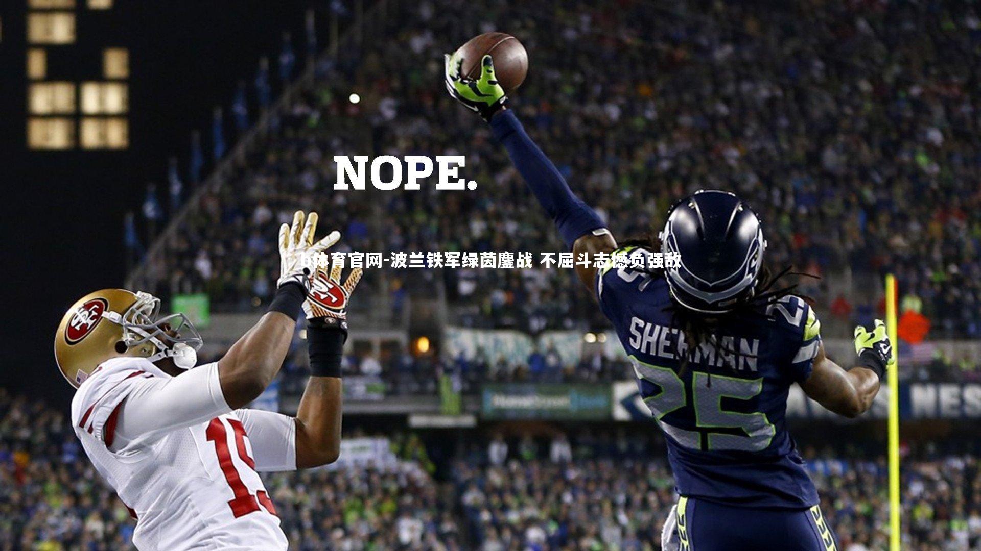 波兰铁军绿茵鏖战 不屈斗志憾负强敌